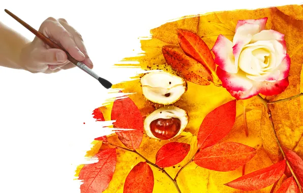 Картинка осень, цветок, листья, рука, кисть, жёлуди