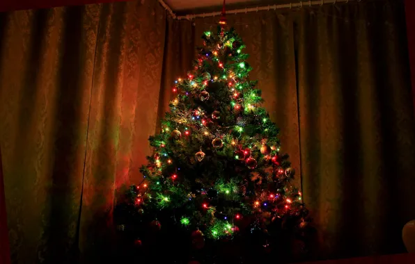 Картинка елка, ель, Рождество, Новый год, Christmas, Ёлка, New, Christmas tree