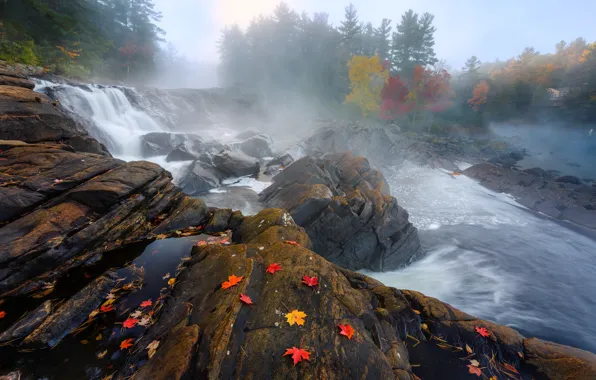 Осень, природа, река, скалы, краски, листва, поток