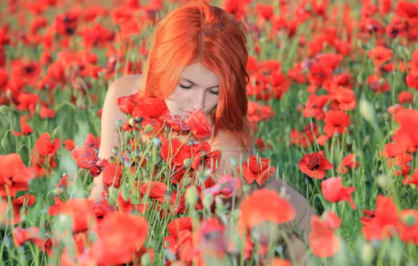 Грудь, лето, девушка, секси, модель, маки, red, рыжая