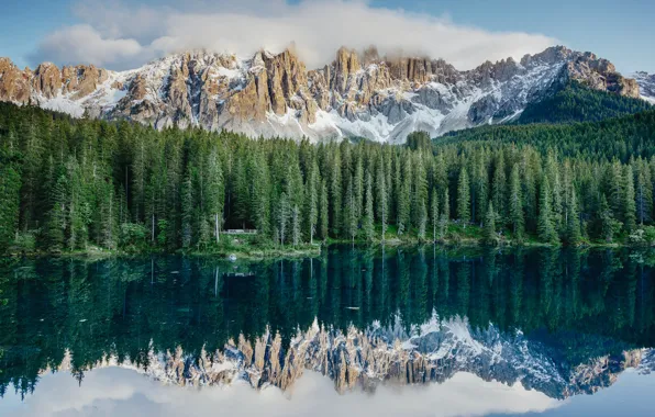 Clouds, Wood, Water, Mountain, Snow, Sea, Fog, Eberhard Grossgaesteiger