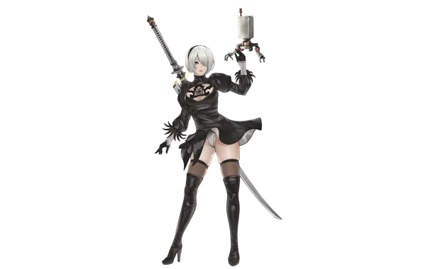 Girl, sword, sexy, lingerie, cleavage, panties, thighhighs, dress