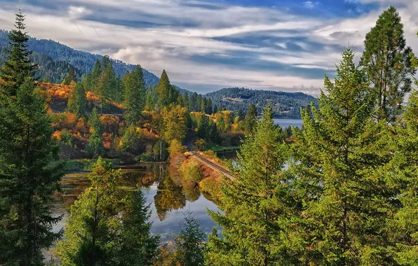 Картинка лес, деревья, река, железная дорога, Idaho, Saint Maries River