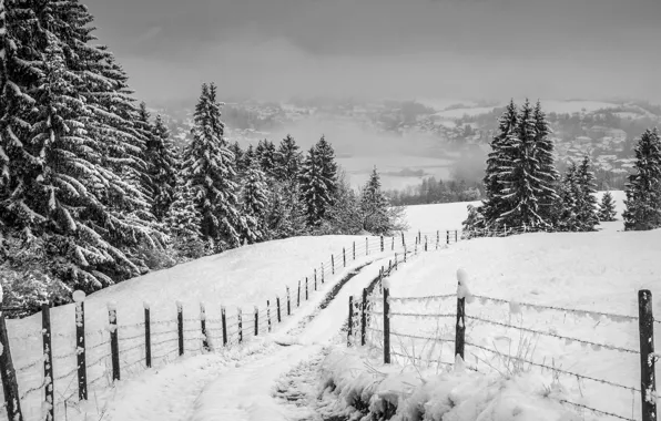 Misty, road, winter, snow, fog, hills, fence, village