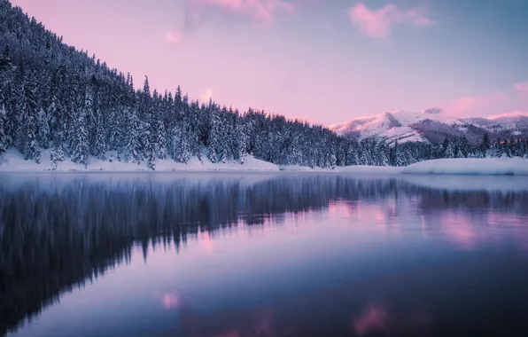 Картинка зима, лес, горы, озеро, пруд, Washington, штат Вашингтон, Gold Creek Pond
