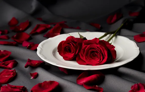 Картинка любовь, цветы, романтика, love, happy, flowers, romantic, 14 февраля