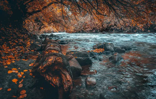 Осень, лес, река, камни, листва