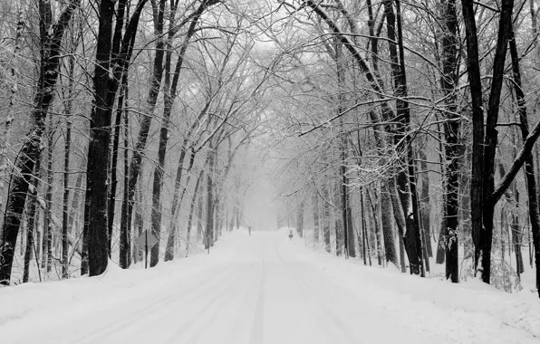 Картинка дорога, лес, снег