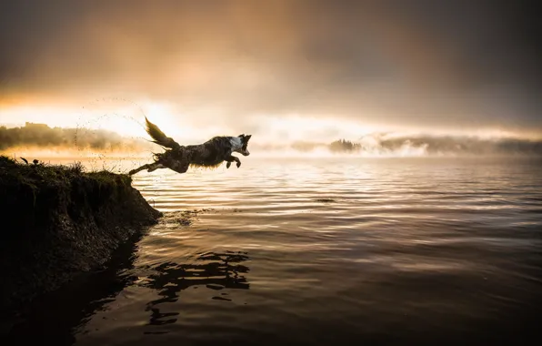 Лес, небо, вода, закат, брызги, природа, поза, туман
