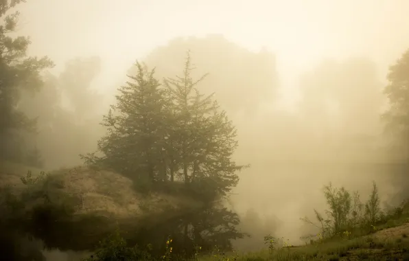 Природа, туман, озеро, утро