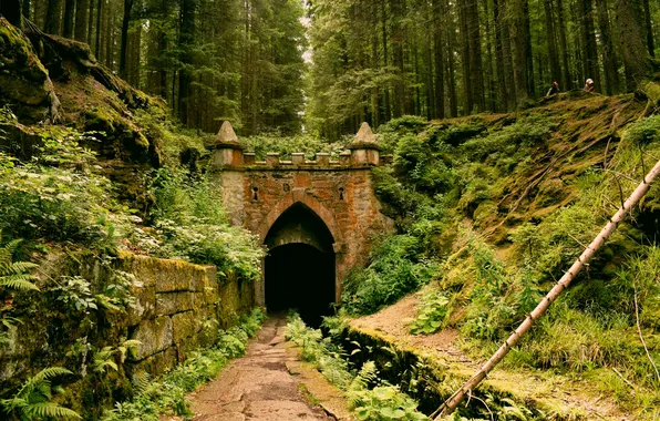 Green, forest, trees, nature, leaves, ruins, castle, medieval