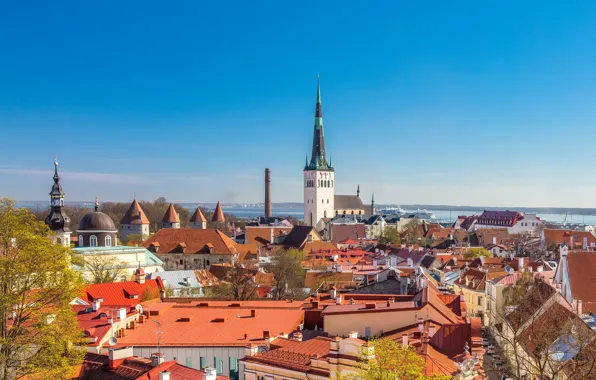 Картинка здания, Эстония, Таллин, Old Town