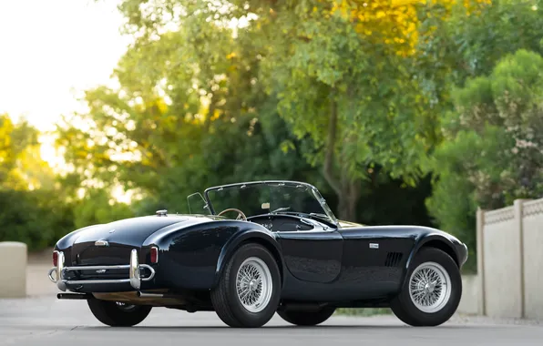 Черный, Shelby, ретро автомобили, 1963, Shelby Cobra, единственный экземпляр, Cobra 289, спортивные автомобили