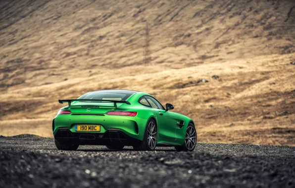 Car, Mercedes, Mercedes AMG GT R C190