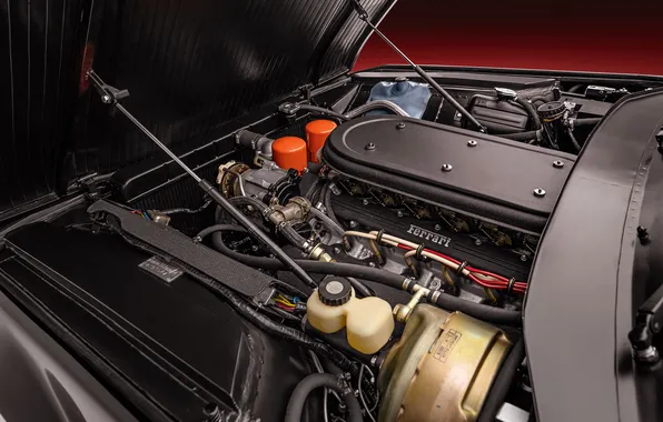 1971, Ferrari, суперкар, supercar, Spyder, ретро автомобили, единственный экземпляр, под капотом