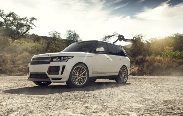 Land Rover, Range Rover, Vorsteiner