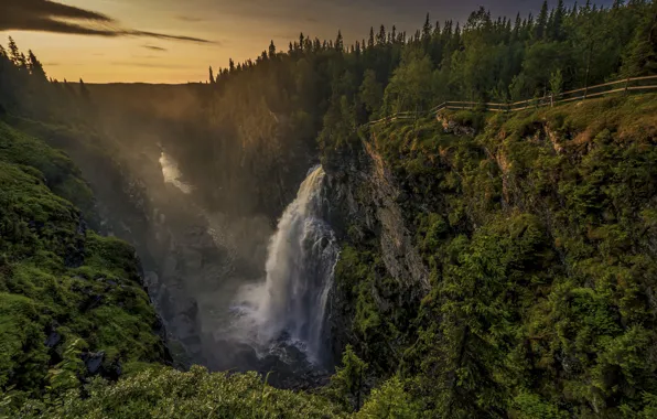 Картинка лес, скалы, водопад, каньон, Швеция, Sweden, Hällingsåfallet Waterfall