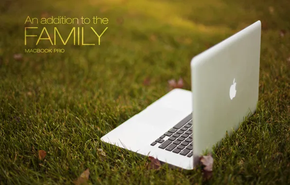 Трава, Apple, ноутбук, MacBook Pro