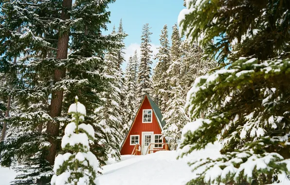 Природа, Домик, House, Nature, Зимний Лес, Winter Forest, Snow Trees, Снежные Деревья