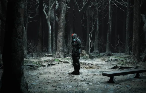 Лес, деревья, экипировка, скамья, Now youre alone Commander