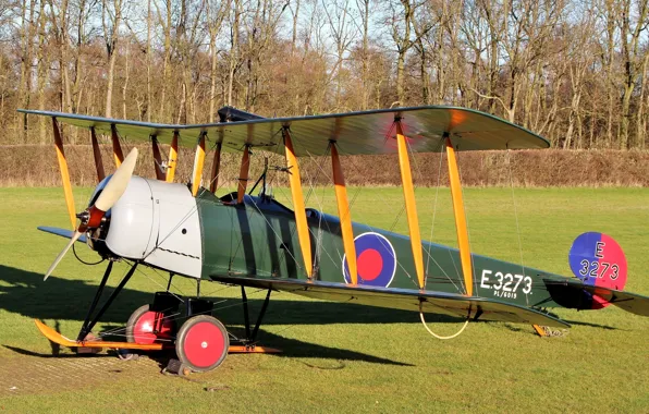 Картинка поле, трава, британский, двухместный, базовый, Авро Серии 504, учебно-тренировочный самолёт, Avro 504 Series