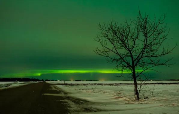 Картинка зима, дорога, пейзаж, ночь, дерево