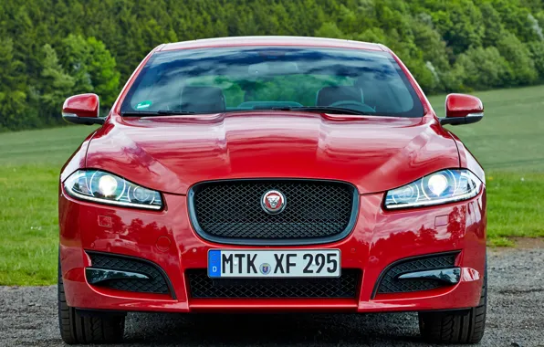 Горы, красный, jaguar