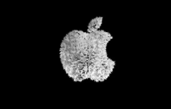 Apple, яблоко, мех, чёрный фон