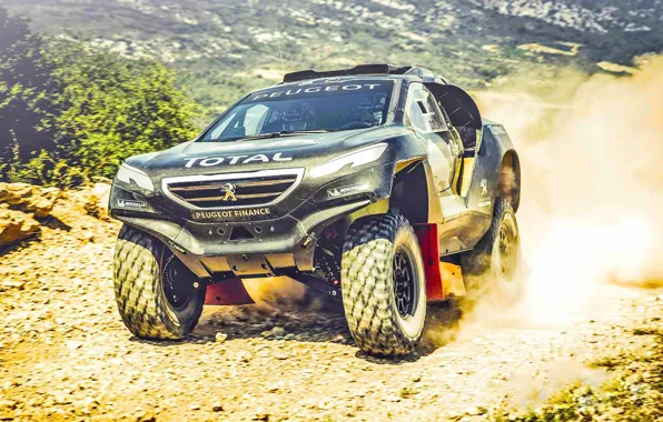 Песок, 2008, Спорт, Скорость, Гонка, Peugeot, Фары, Red Bull