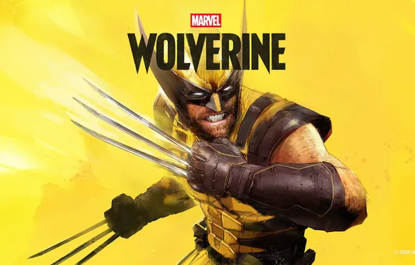 Wolverine, Marvel, claws