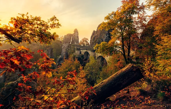 Картинка осень, листья, солнце, деревья, мост, камни, скалы, Германия