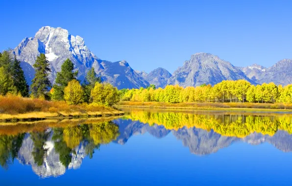 Лес, горы, природа, река, Colorado