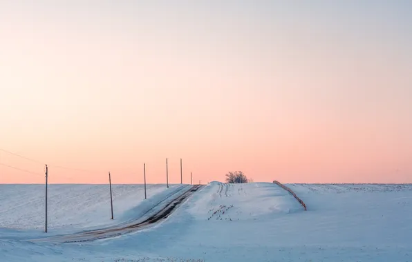 Картинка зима, дорога, поле, утро