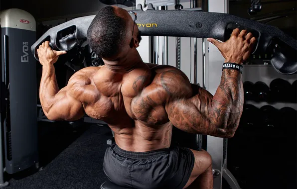 Muscles, glasses, back, tattoos, training, Bodybuilder