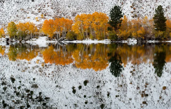 Картинка California, refections, Fall Snow, Bishop Creek