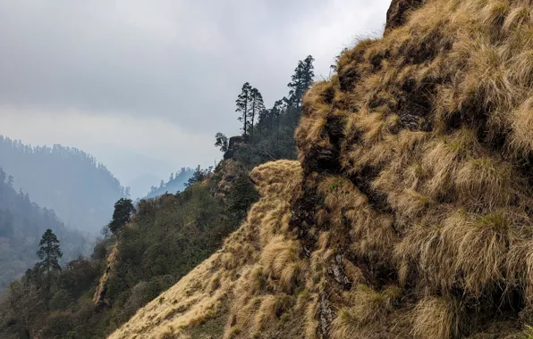 Горы, Непал, Nepal, pixel 7 pro пример фото, крутые горы, отвесный склон, крутой склон