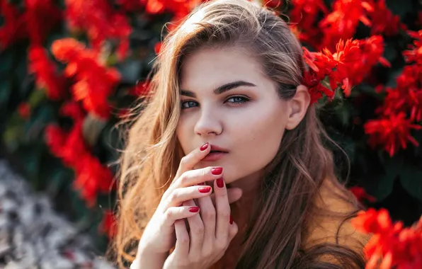 Обои девушка, цветы, лицо, портрет, Марго, Светлана Гостева картинки на ...