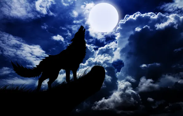 Картинка concept, moon, sky, blue, night, background, animal, wolf