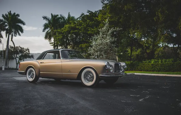 Тропики, ретро, пальмы, Chrysler, золотой, классика, Coupe, Chrysler 300B Coupe Speciale 1956г