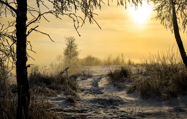 Картинка зима, снег, пейзаж, утро