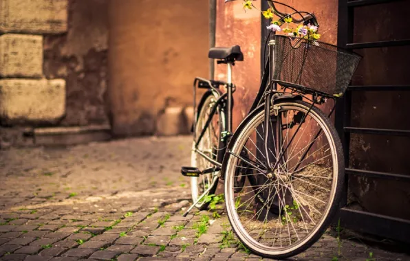 Картинка bicycle, flower, photography, bike, street