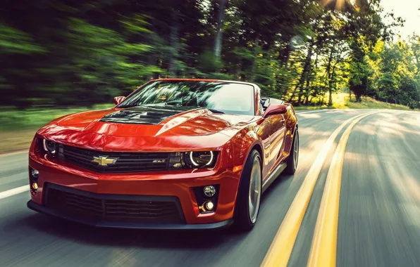 Chevrolet, Camaro, ZL1
