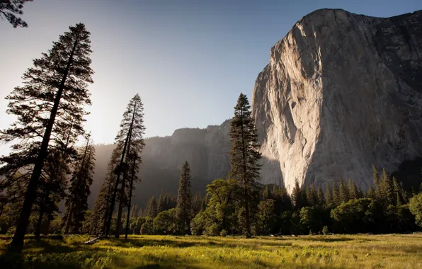 Rock, sky, forrest