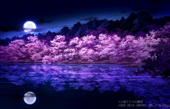 Ночь, озеро, весна, сакура, цветение, Touhou Project, Проект Восток