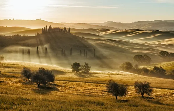 Картинка свет, утро, Италия, Тоскана