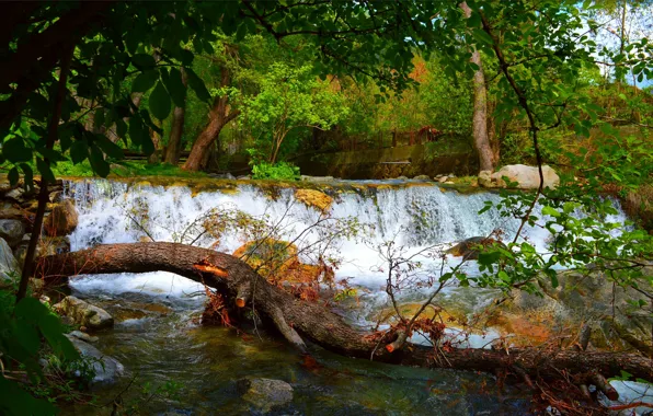 Картинка Зелень, Природа, Весна, Водопад, Nature, Green, Spring, Waterfall