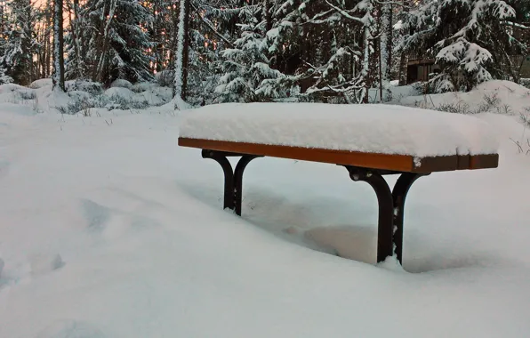 Картинка зима, лес, снег, скамья