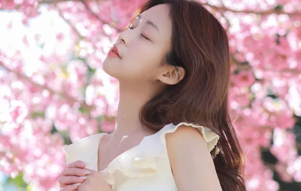 Beautiful, Asian, Model, Tree, Flowers, Woman, Cute, Pretty