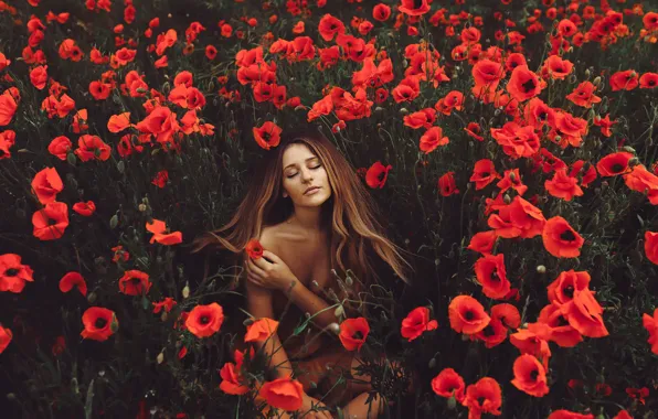 Картинка девушка, цветы, природа, маки