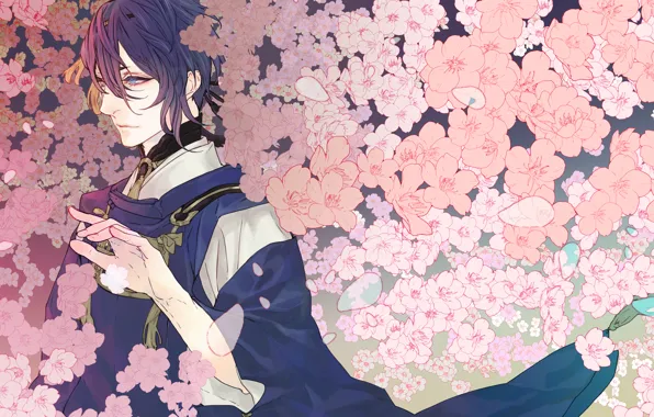 Цветы, арт, парень, touken ranbu